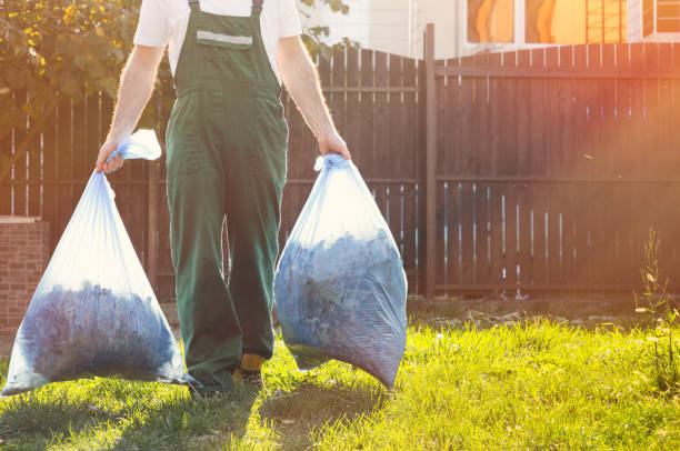 Best Shed Removal  in Pasadena, MD